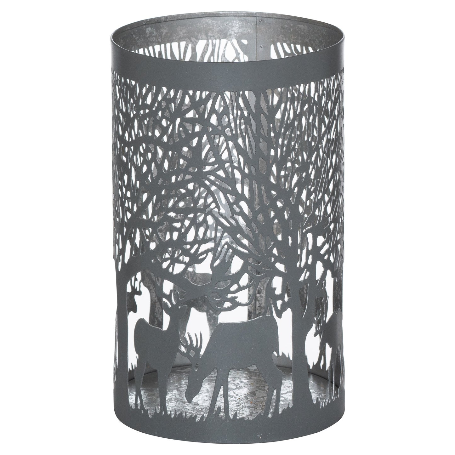 Large Silver And Grey Glow-ray Stag In Forest Lantern