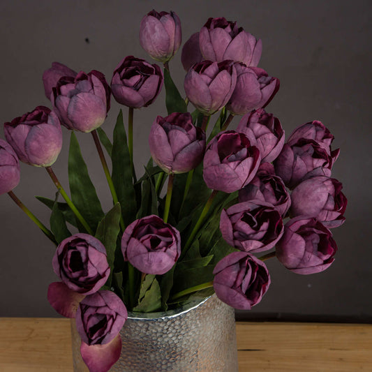 Purple Tulip single stem