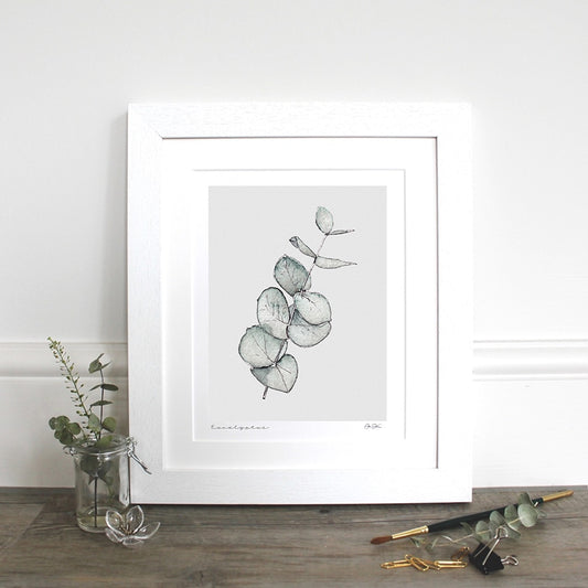 Eucalyptus 10×12″ mounted fine art print