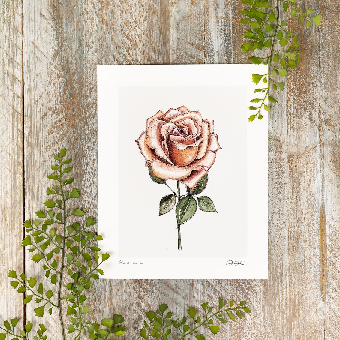 Rose 10×12″ Mounted fine art print