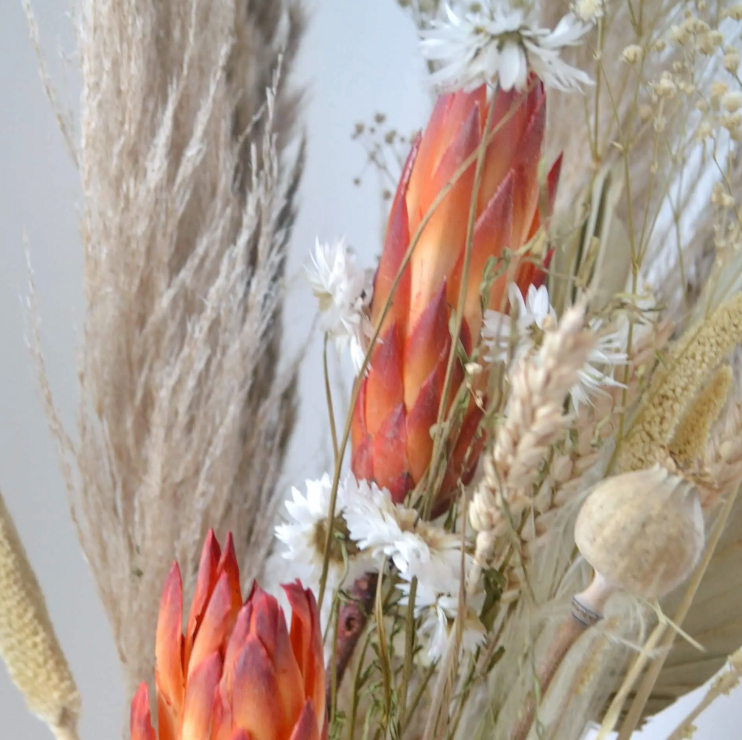 All Natural Red Dried Flower Bunch